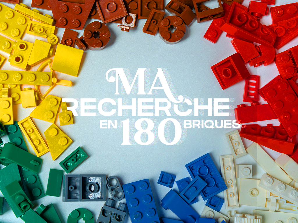 Image illustrant l'article "Ma recherche en 180 briques"