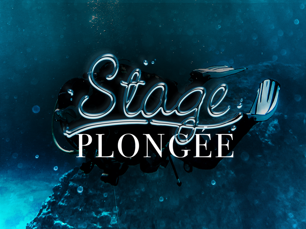 Image illustrant le stage de plongée