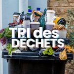 Image illustrant l'article "L’écologie, ça commence par le tri".