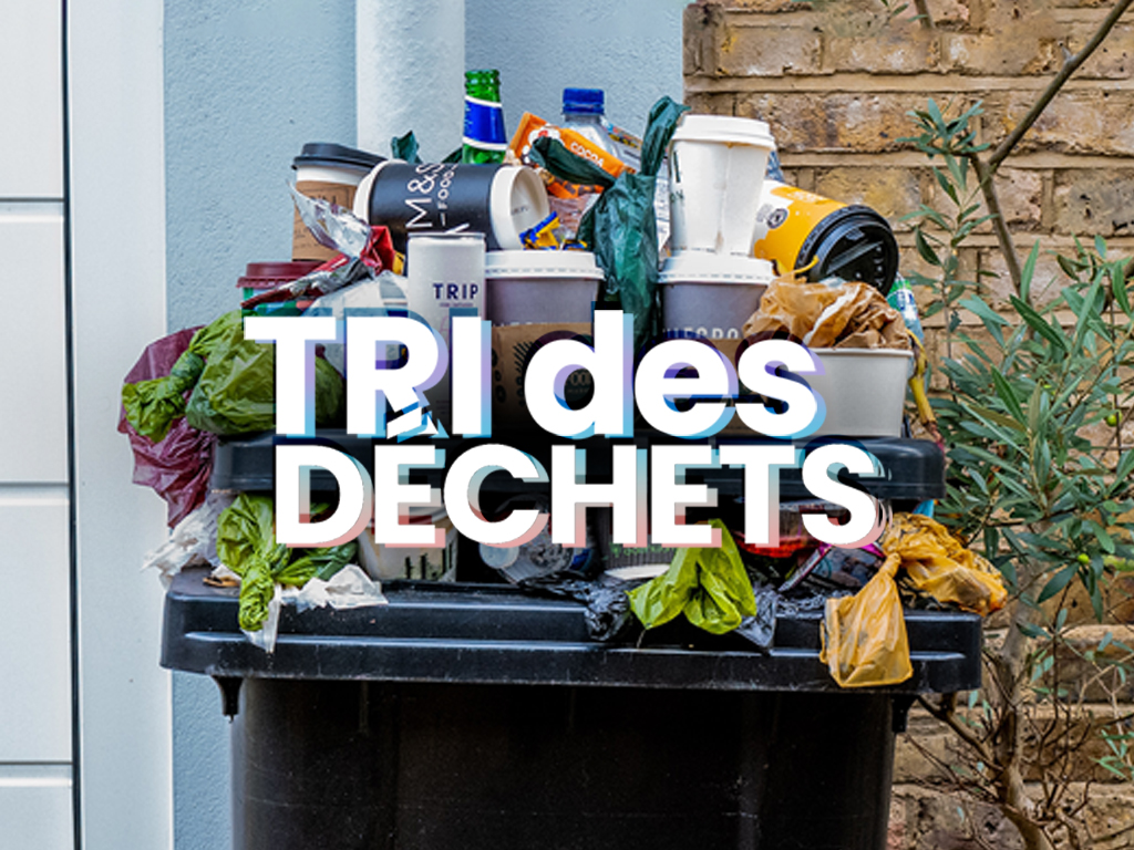 Image illustrant l'article "L’écologie, ça commence par le tri".